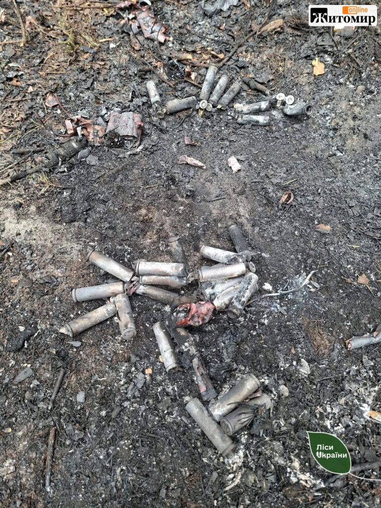 У Тетерівському надлісництві дронова атака спричинила пожежу на 0,5 га - Події. Джерело: Zhitomir-OnLine У Тетерівському надлісництві дронова атака спричинила пожежу на 0,5 га - фото №1