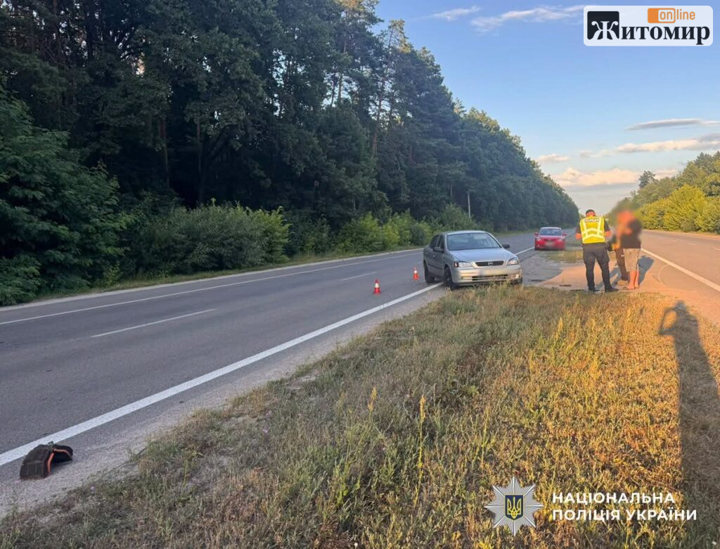 У Житомирському районі за добу в ДТП травмовано двох людей, серед них неповнолітня - фото №2