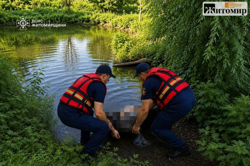 На Бердичівщині рятувальники підняли тіло зі ставка - Події. Джерело: Zhitomir-OnLine На Бердичівщині рятувальники підняли тіло зі ставка - фото №