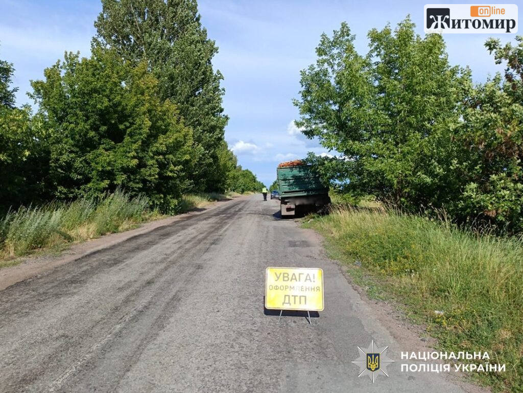 Біля Миролюбівки BMW зіткнувся з вантажівкою: дитина в реанімації. ФОТО - Події. Джерело: Zhitomir-OnLine Біля Миролюбівки BMW зіткнувся з вантажівкою: дитина в реанімації. ФОТО - фото №2