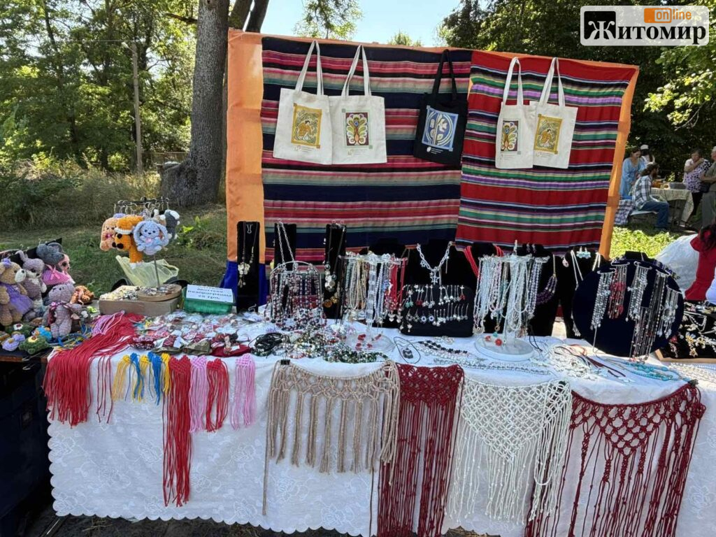 На Житомирщині під час Дня села збирали на детектор дронів для Захисника - фото №3