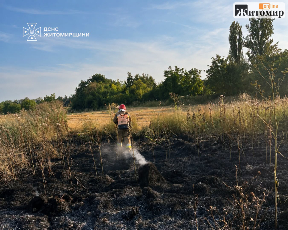 За добу на Житомирщині сталося 11 пожеж сухої рослинності: вогонь охопив майже 10 гектарів - Події. Джерело: Zhitomir-OnLine За добу на Житомирщині сталося 11 пожеж сухої рослинності: вогонь охопив майже 10 гектарів - фото №