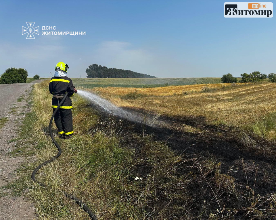 П'ять пожеж сухостою за добу: на Житомирщині вогонь охопив близько 2 гектарів - Події. Джерело: Zhitomir-OnLine П'ять пожеж сухостою за добу: на Житомирщині вогонь охопив близько 2 гектарів - фото №1