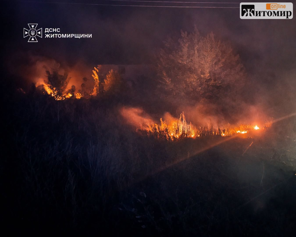 За добу на Житомирщині сталося 11 пожеж сухої рослинності: вогонь охопив майже 10 гектарів - Події. Джерело: Zhitomir-OnLine За добу на Житомирщині сталося 11 пожеж сухої рослинності: вогонь охопив майже 10 гектарів - фото №2