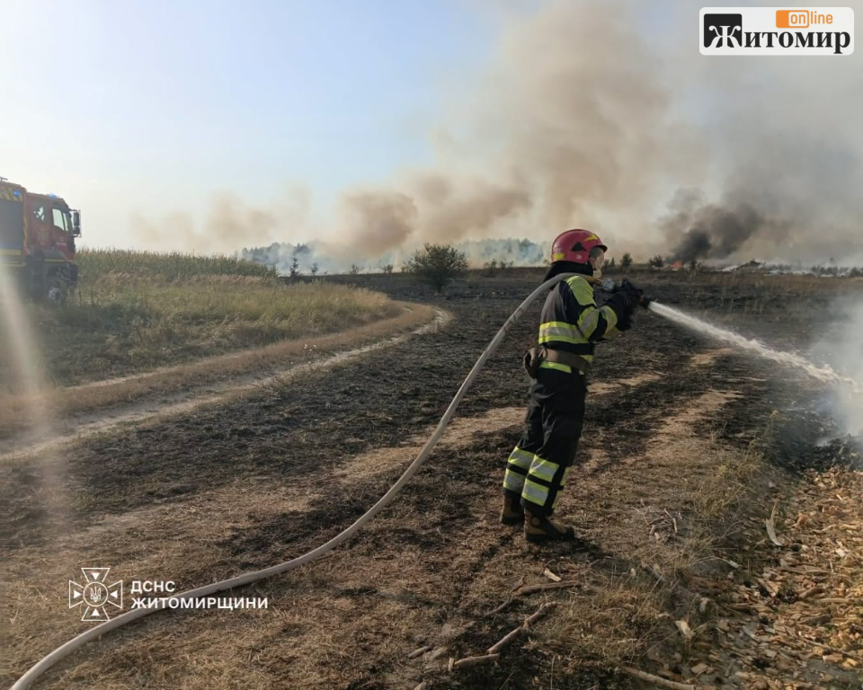 За добу на Житомирщині сталося 11 пожеж сухої рослинності: вогонь охопив майже 10 гектарів - Події. Джерело: Zhitomir-OnLine За добу на Житомирщині сталося 11 пожеж сухої рослинності: вогонь охопив майже 10 гектарів - фото №1