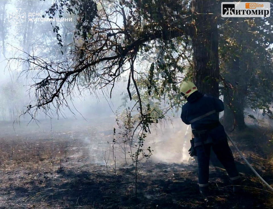 Намагався сам загасити пожежу: на Житомирщині пенсіонер отримав опіки - фото №1