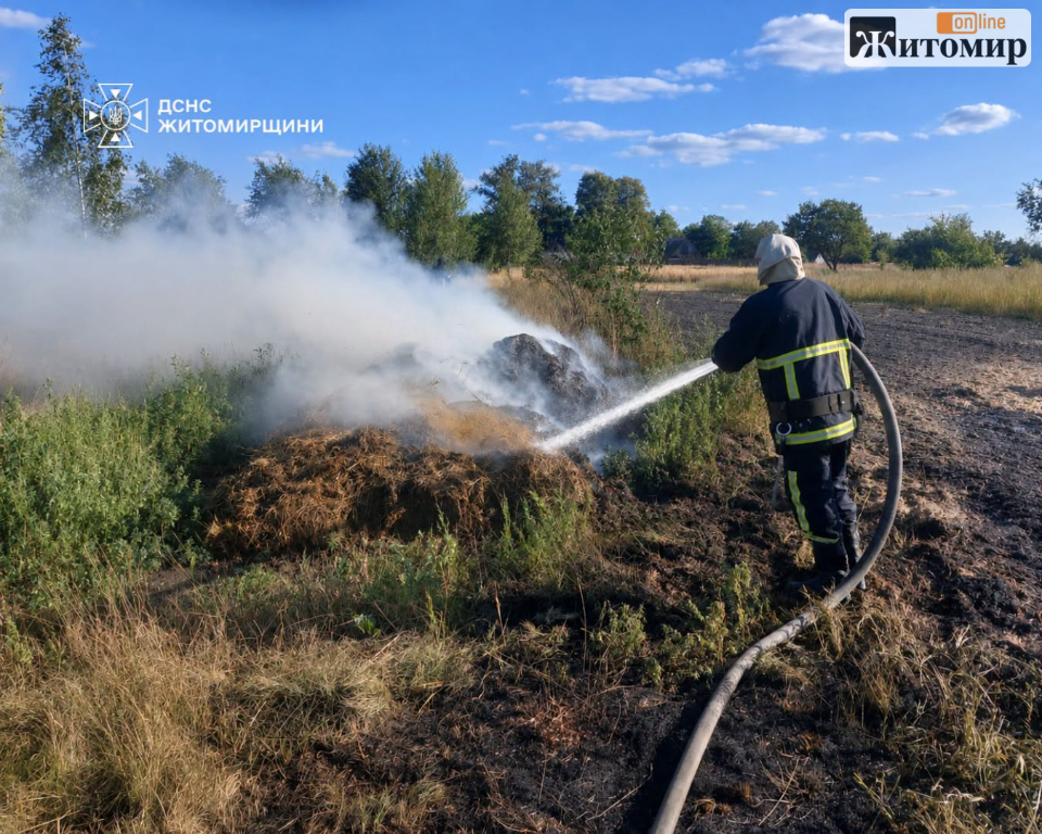 На Житомирщині за добу рятувальники ліквідували 14 пожеж сухої рослинності - Події. Джерело: Zhitomir-OnLine На Житомирщині за добу рятувальники ліквідували 14 пожеж сухої рослинності - фото №