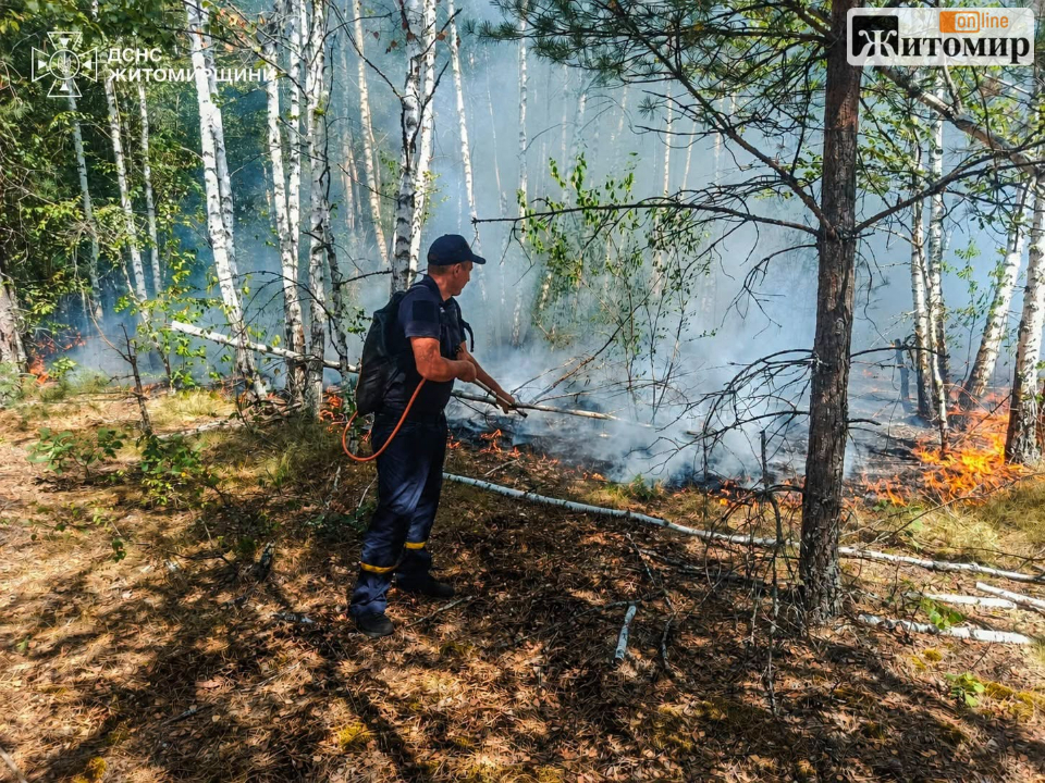 На півночі Житомирщини горить ліс: рятувальники працюють з лісівниками - Події. Джерело: Zhitomir-OnLine На півночі Житомирщини горить ліс: рятувальники працюють з лісівниками - фото №1