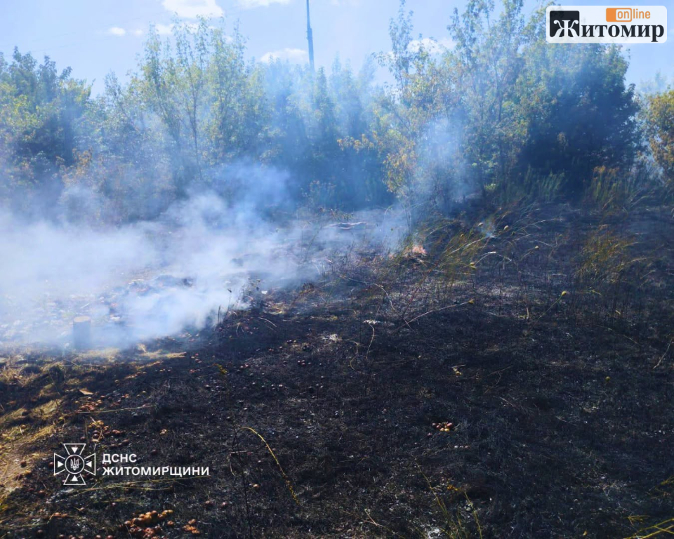 На Житомирщині за добу рятувальники ліквідували 14 пожеж сухої рослинності - Події. Джерело: Zhitomir-OnLine На Житомирщині за добу рятувальники ліквідували 14 пожеж сухої рослинності - фото №1