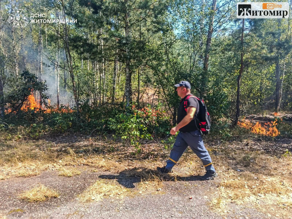 На півночі Житомирщини горить ліс: рятувальники працюють з лісівниками - Події. Джерело: Zhitomir-OnLine На півночі Житомирщини горить ліс: рятувальники працюють з лісівниками - фото №