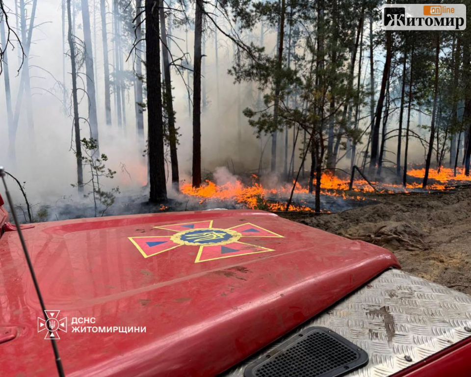 На півночі Житомирщини досі триває ліквідація пожежі на території заповідника - Події. Джерело: Zhitomir-OnLine На півночі Житомирщини досі триває ліквідація пожежі на території заповідника - фото №1