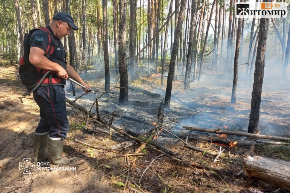 У заповіднику «Древлянський» на півночі Житомирщини близько 70 рятувальників стримують поширення вогню - фото №1