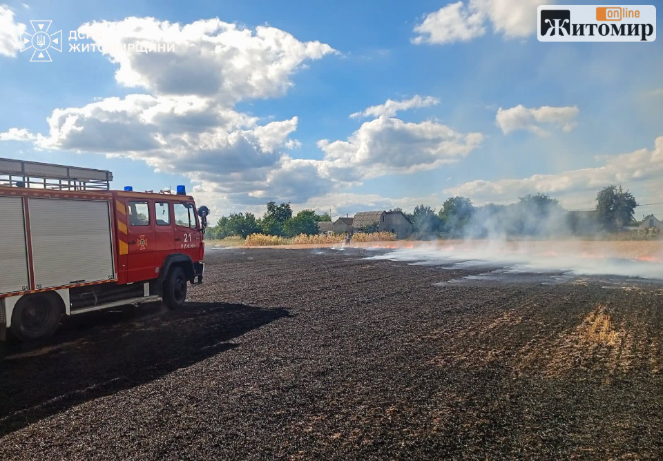 Спалювання сухостою призвело до пожежі та травмування жительки Житомирщини - фото №1