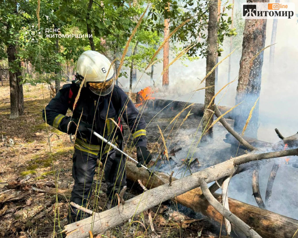 На півночі Житомирщини досі триває ліквідація пожежі на території заповідника - Події. Джерело: Zhitomir-OnLine На півночі Житомирщини досі триває ліквідація пожежі на території заповідника - фото №2
