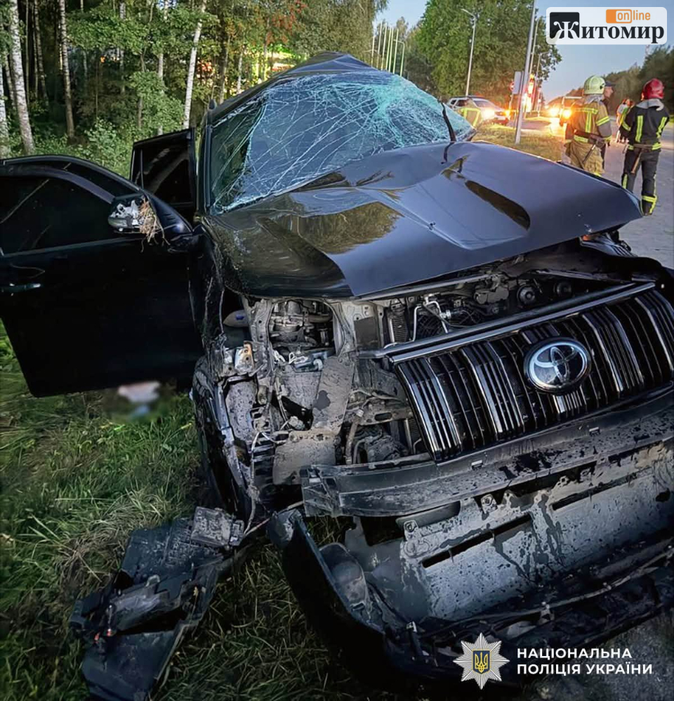 На Коростенщині зіткнулися Toyota та вантажівка: водій загинув, пасажир травмований - фото №1
