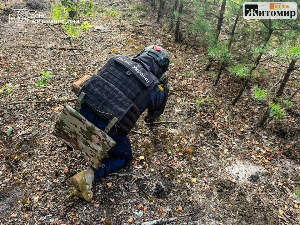 У лісі на Житомирщині місцеві жителі знайшли артилерійський снаряд - Події. Джерело: Zhitomir-OnLine У лісі на Житомирщині місцеві жителі знайшли артилерійський снаряд - фото №