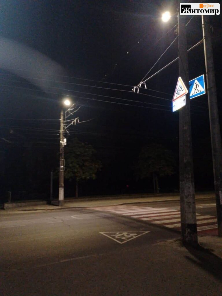 19-річний Антон помер після 20 днів у комі: його збили на переході біля Політеху в Житомирі - фото №1