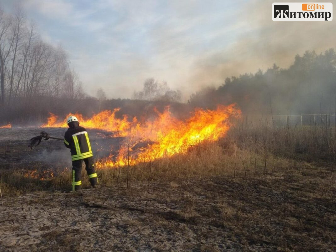 На Житомирщині за добу загасили 19 пожеж сухої трави На Житомирщині за добу загасили 19 пожеж сухої трави