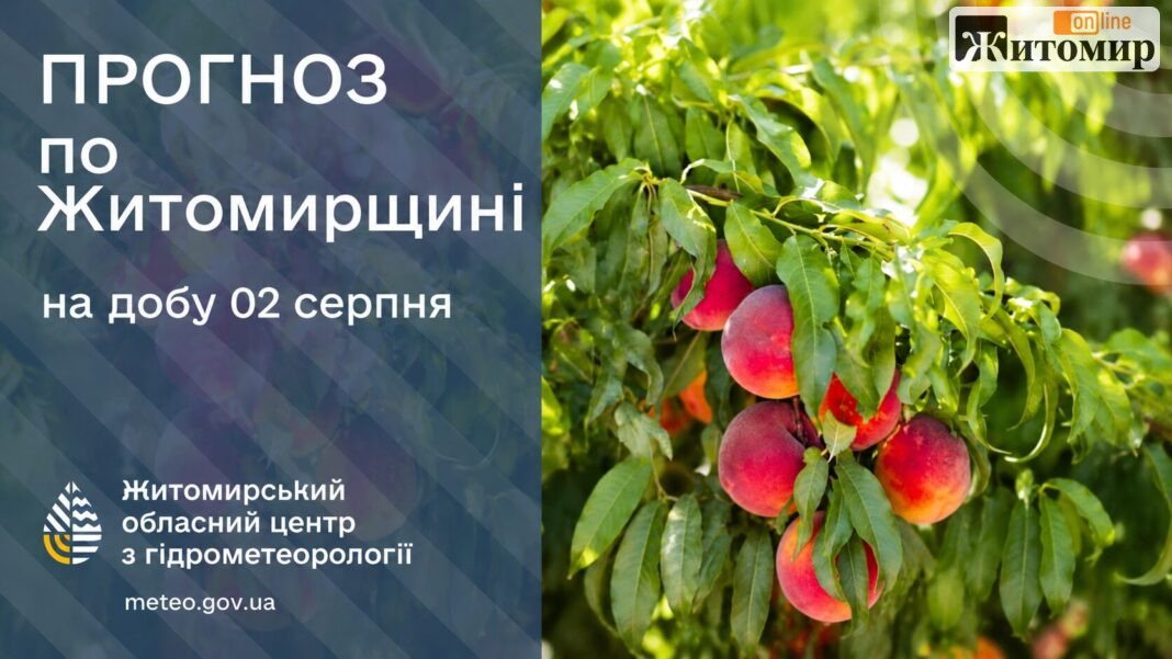 Яку погоду прогнозують на Житомирщині 2 серпня 2026 Яку погоду прогнозують на Житомирщині 2 серпня 2026