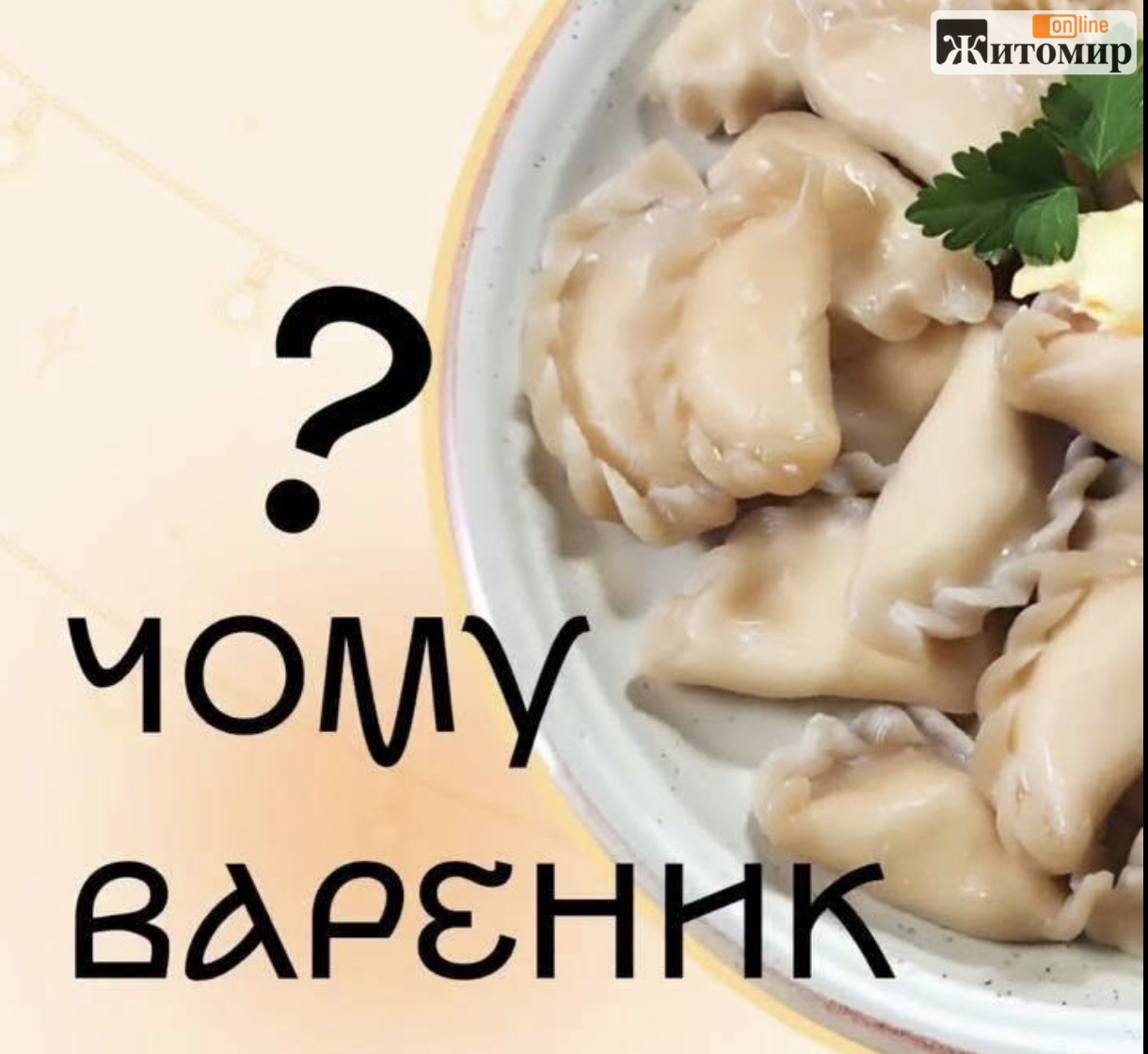 Вареники чи Житомир? Містяни сперечаються через фестиваль до Дня міста