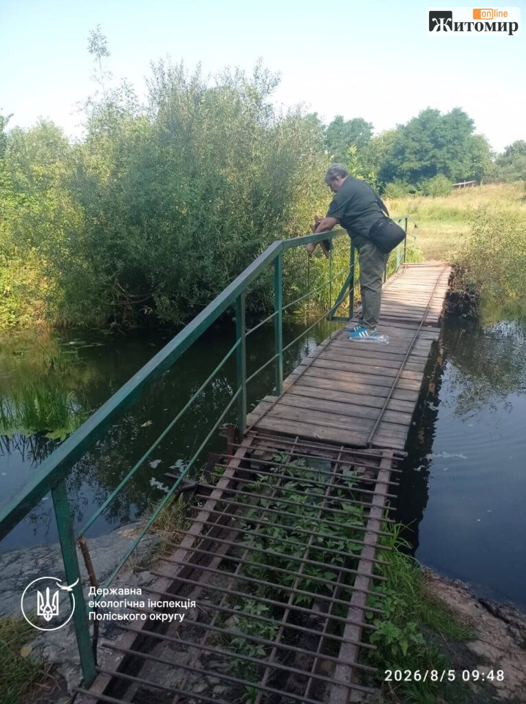У Житомирі в річці Кам’янка загинули понад тисяча риб: у воді виявили значні перевищення нормативів - фото №