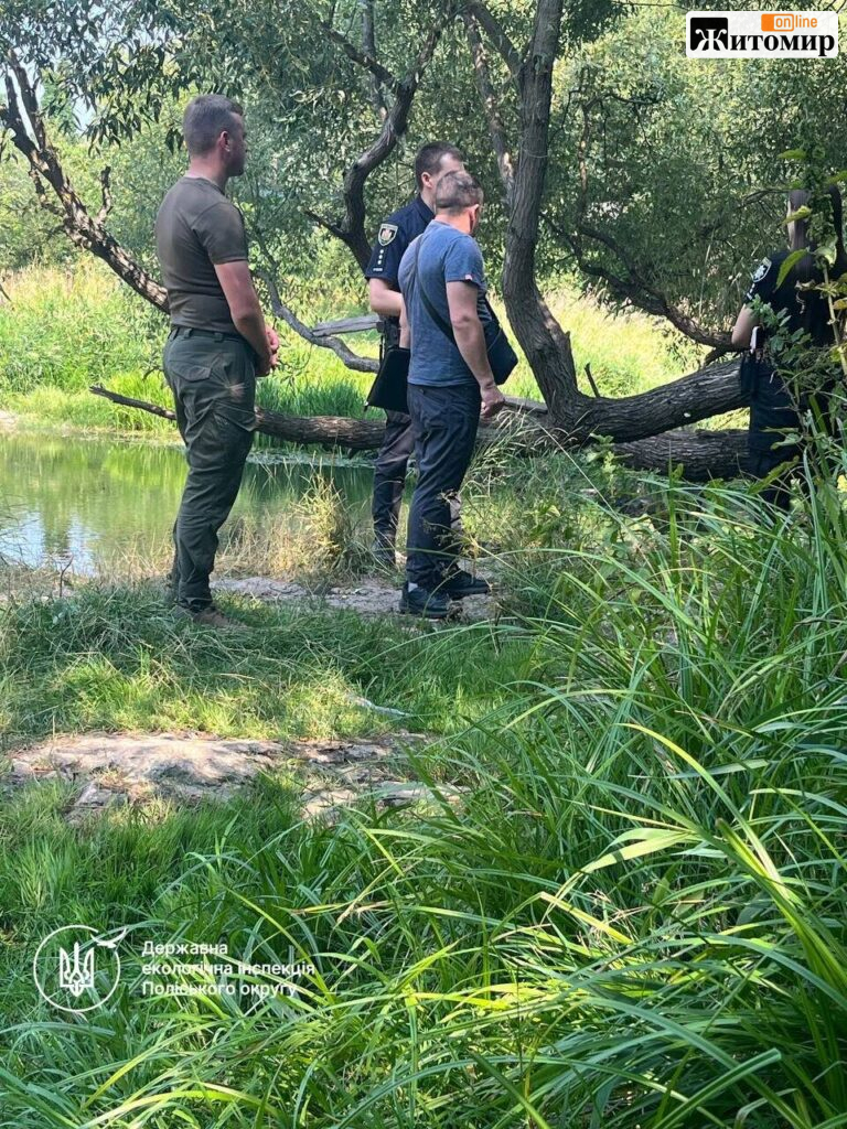 У Житомирі в річці Кам’янка загинули понад тисяча риб: у воді виявили значні перевищення нормативів - фото №1