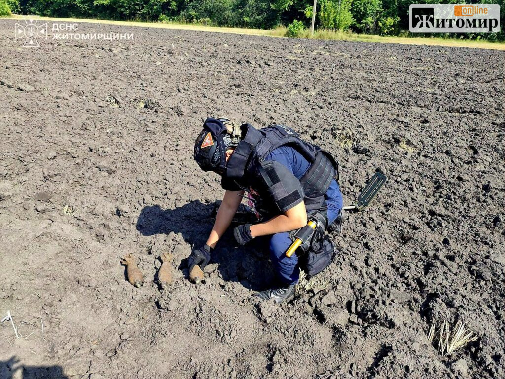 На полі у селі Бердичівського району виявили три мінометні міни - Події. Джерело: Zhitomir-OnLine На полі у селі Бердичівського району виявили три мінометні міни - фото №1
