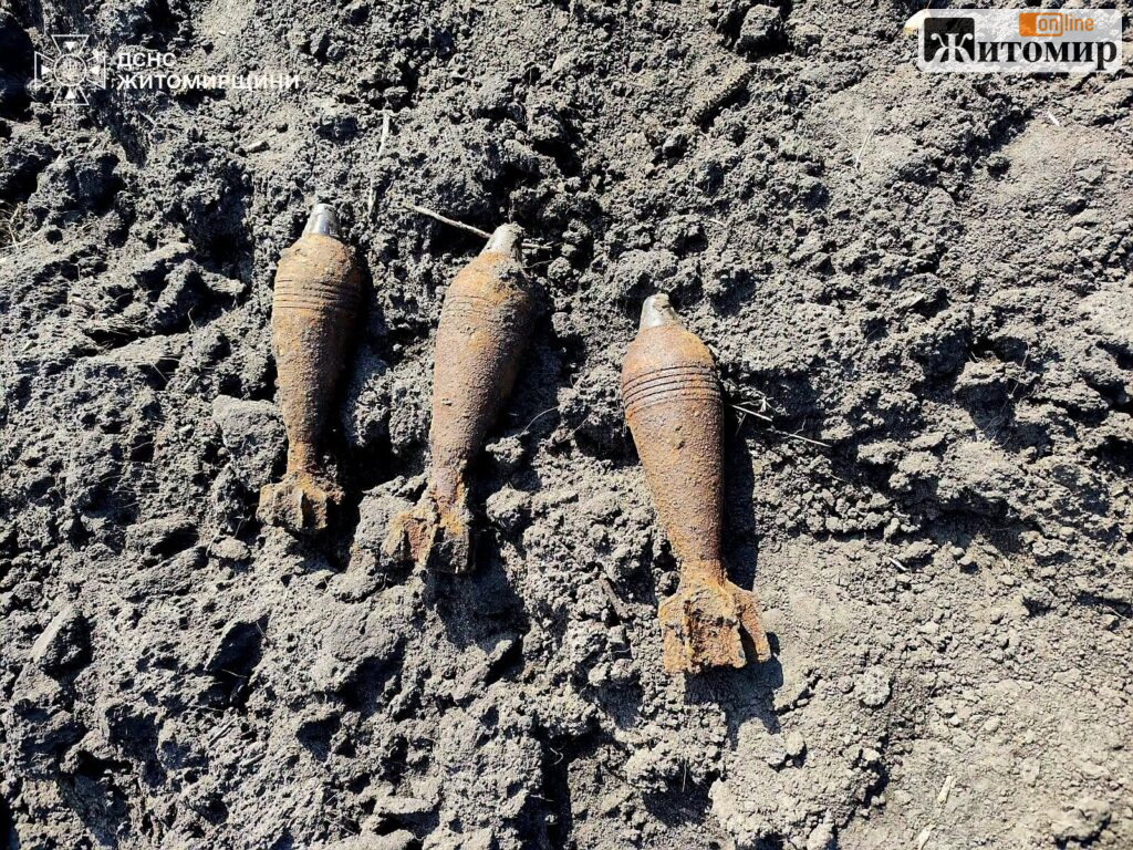 На полі у селі Бердичівського району виявили три мінометні міни - Події. Джерело: Zhitomir-OnLine На полі у селі Бердичівського району виявили три мінометні міни - фото №2