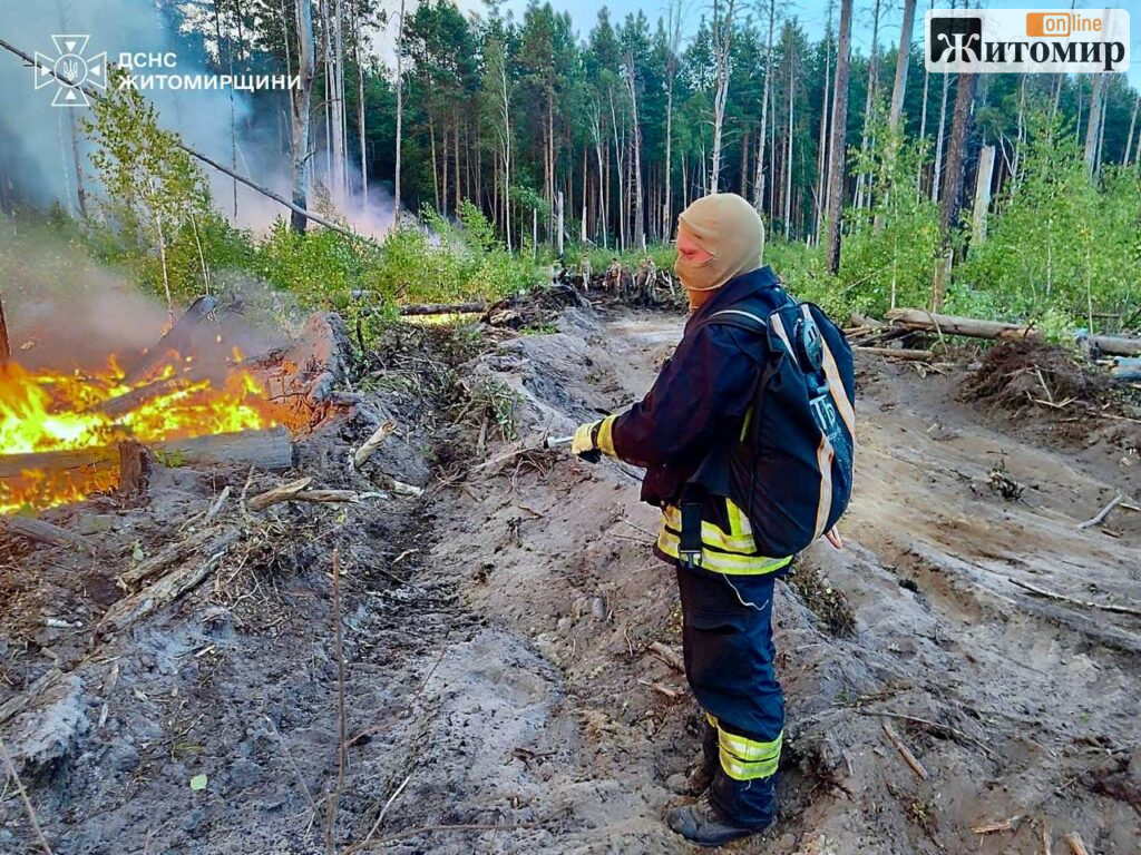 У Коростенському районі ліквідували лісову пожежу після чотирьох днів гасіння - Інформація. Джерело: Zhitomir-OnLine У Коростенському районі ліквідували лісову пожежу після чотирьох днів гасіння - фото №