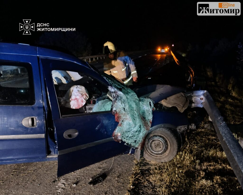 Нічна ДТП на М-07 біля Малої Зубівщини забрала два життя - Інформація. Джерело: Zhitomir-OnLine Нічна ДТП на М-07 біля Малої Зубівщини забрала два життя - фото №