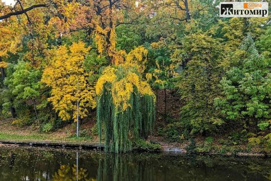 Синоптики розповіли, якою буде погода 19-20 вересня на Житомирщині