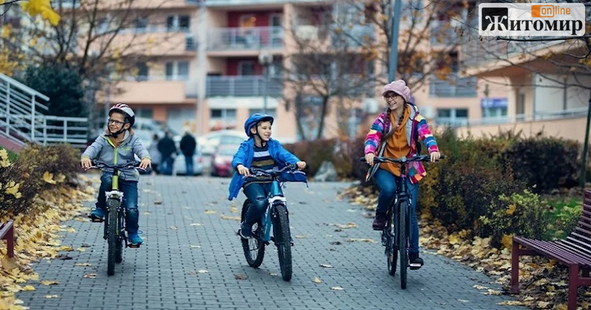Ліцею №30 у Житомирі хочуть передати шість велосипедів майже на 60 тисяч гривень
