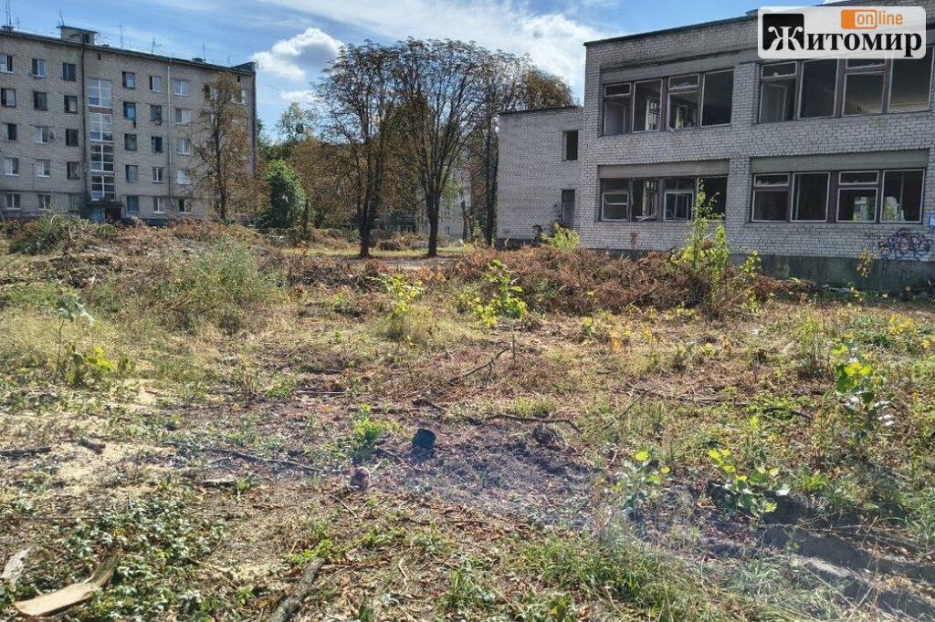 На Польовій у Житомирі зрізали на 80 дерев більше, ніж дозволяли документи — викликали поліцію - Події. Джерело: Zhitomir-OnLine На Польовій у Житомирі зрізали на 80 дерев більше, ніж дозволяли документи — викликали поліцію - фото №1