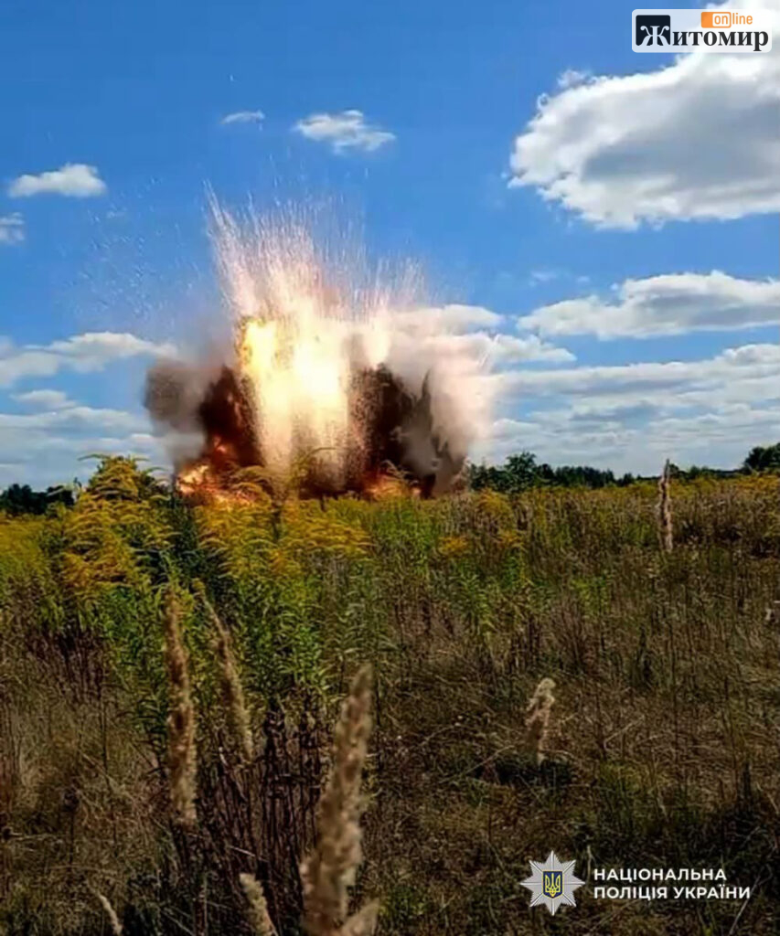На Житомирщині знешкодили бойову частину ворожого БпЛА, яка не здетонувала - Події. Джерело: Zhitomir-OnLine На Житомирщині знешкодили бойову частину ворожого БпЛА, яка не здетонувала - фото №1