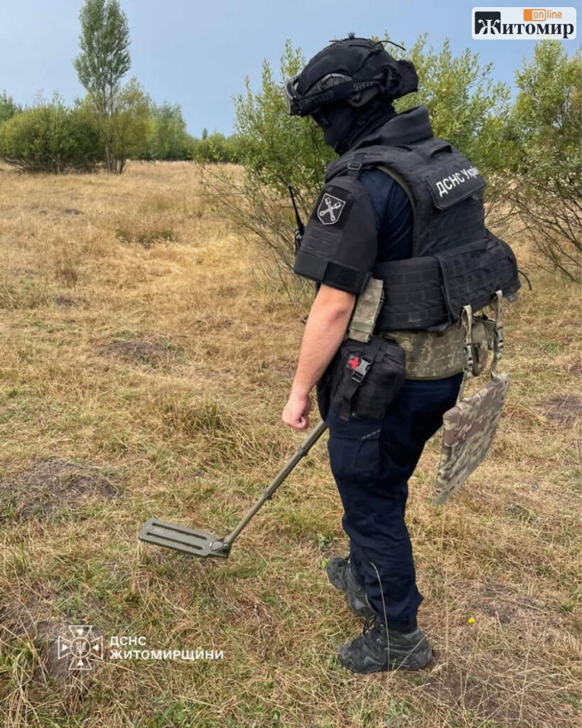 У Житомирі на присадибній ділянці знайшли гранату часів Другої світової війни - Події. Джерело: Zhitomir-OnLine У Житомирі на присадибній ділянці знайшли гранату часів Другої світової війни - фото №1