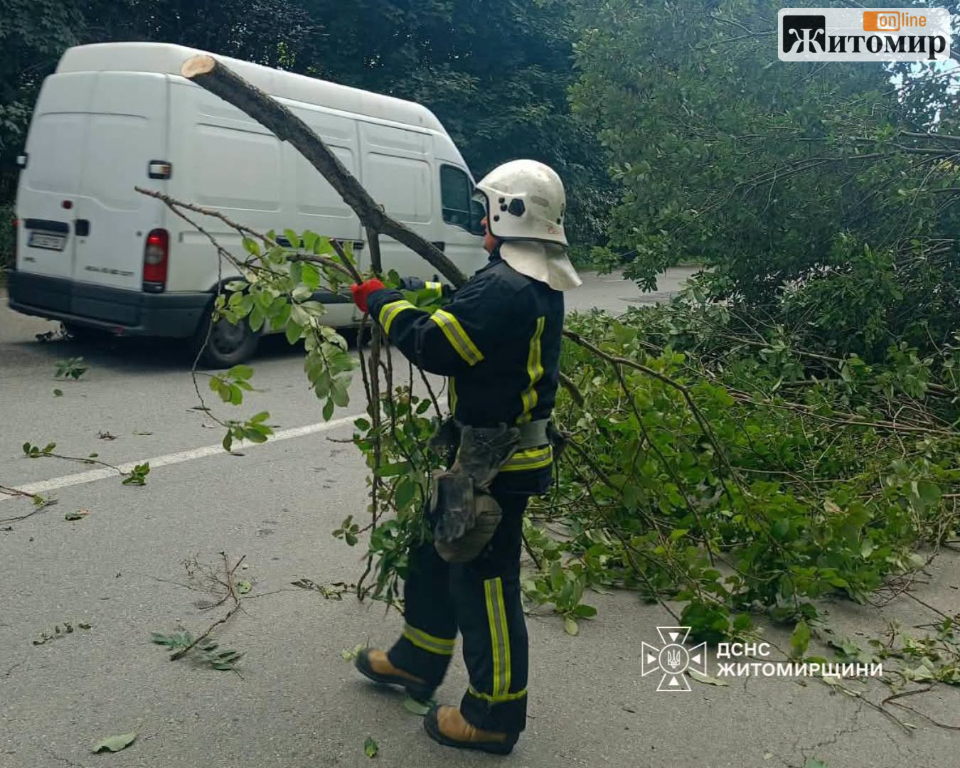 У селі Житомирського району рятувальники прибрали дерево, що впало та перекрило дорогу
