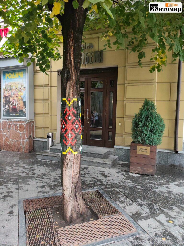 Дерева на Михайлівській «вдягнули» у вишиванки: так діти привітали Житомир із Днем міста - фото №3