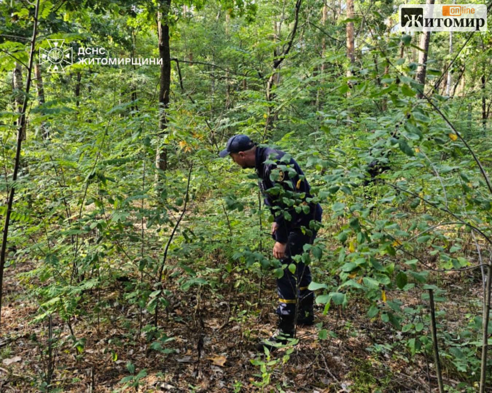 Пішов по гриби та не повернувся: на Житомирщині знайшли 40-річного чоловіка - Події. Джерело: Zhitomir-OnLine Пішов по гриби та не повернувся: на Житомирщині знайшли 40-річного чоловіка - фото №