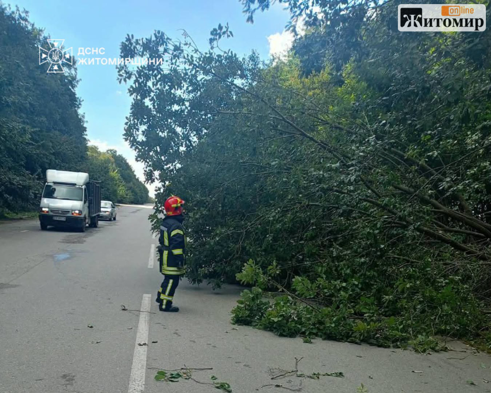 У селі Житомирського району рятувальники прибрали дерево, що впало та перекрило дорогу - фото №1