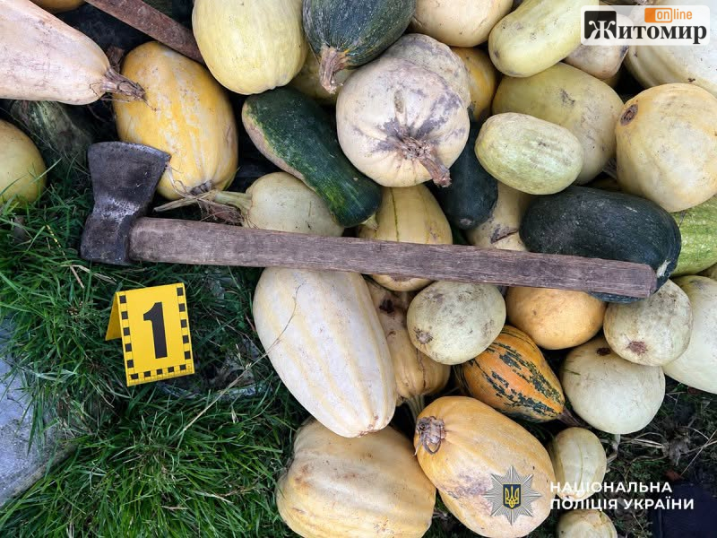 На Житомирщині чоловік ударив сокирою вітчима співмешканки: потерпілий у лікарні