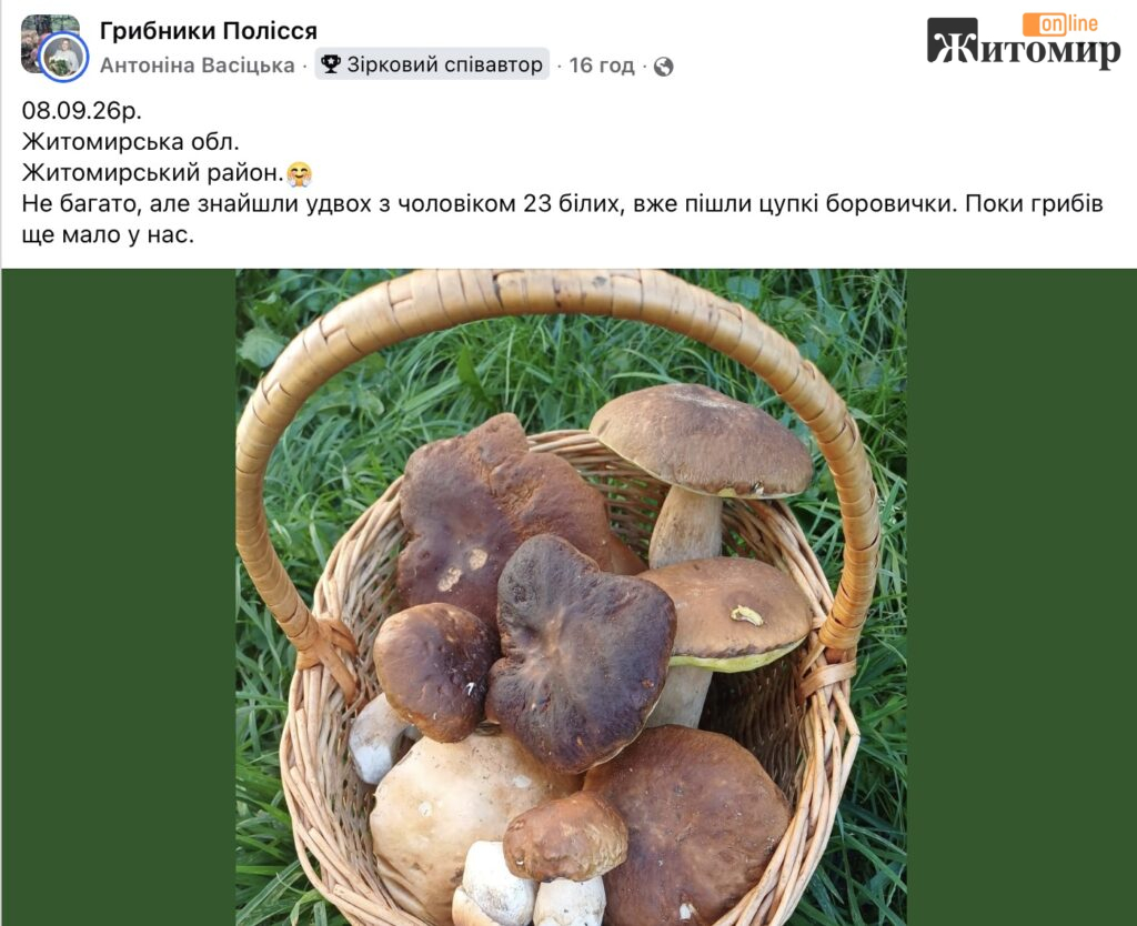 «Поки грибів ще мало»: у Житомирському районі подружжя знайшло 23 білі - Інформація. Джерело: Zhitomir-OnLine «Поки грибів ще мало»: у Житомирському районі подружжя знайшло 23 білі - фото №