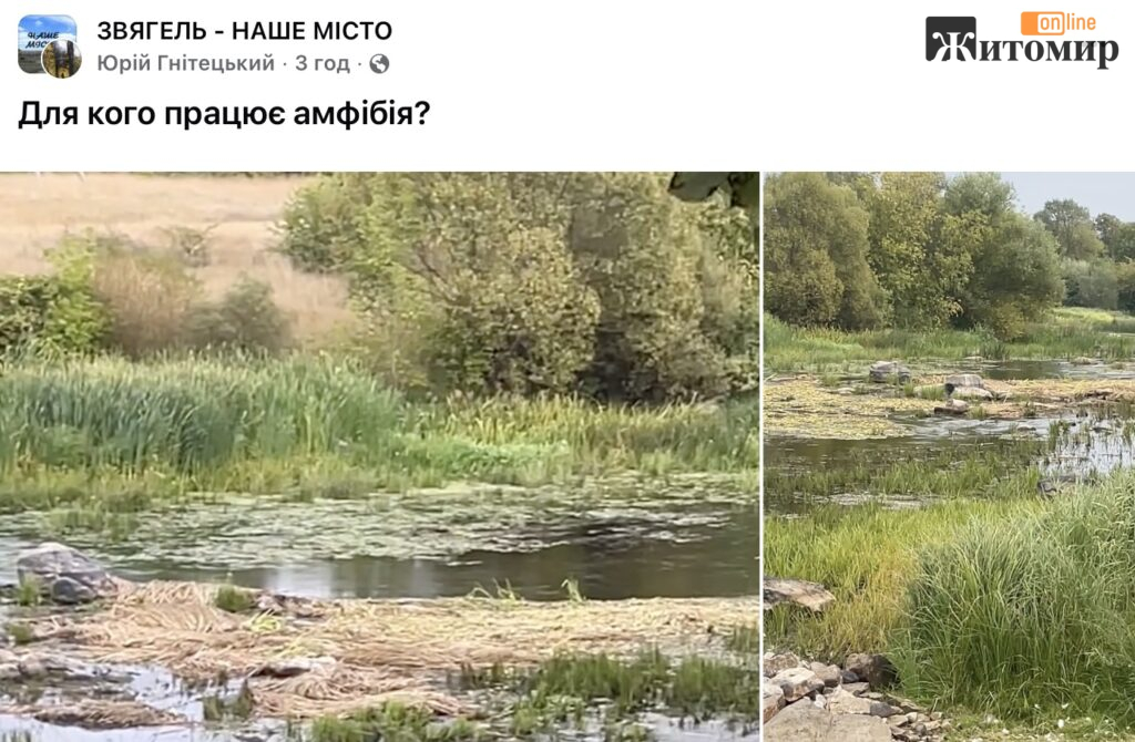 «Для кого працює амфібія?»: у Звягелі показали зарослу Случ біля «Биків» - Інформація, Думка. Джерело: Zhitomir-OnLine «Для кого працює амфібія?»: у Звягелі показали зарослу Случ біля «Биків» - фото №