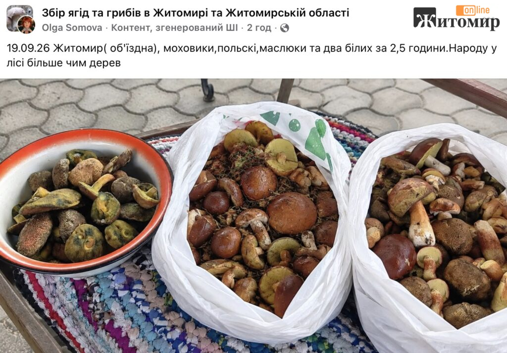 «Народу в лісі більше, ніж дерев»: на об’їзній Житомира за 2,5 години назбирали кошики грибів