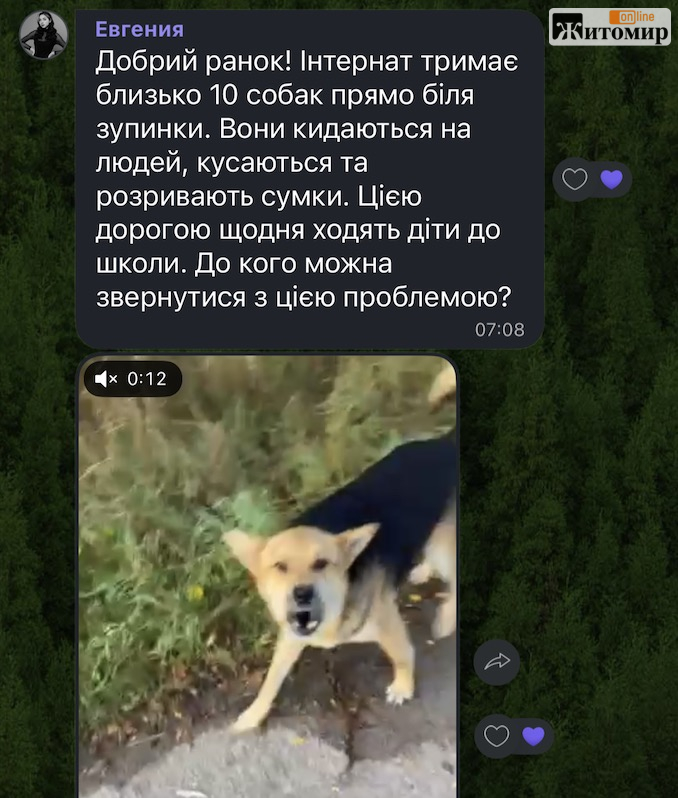 ...