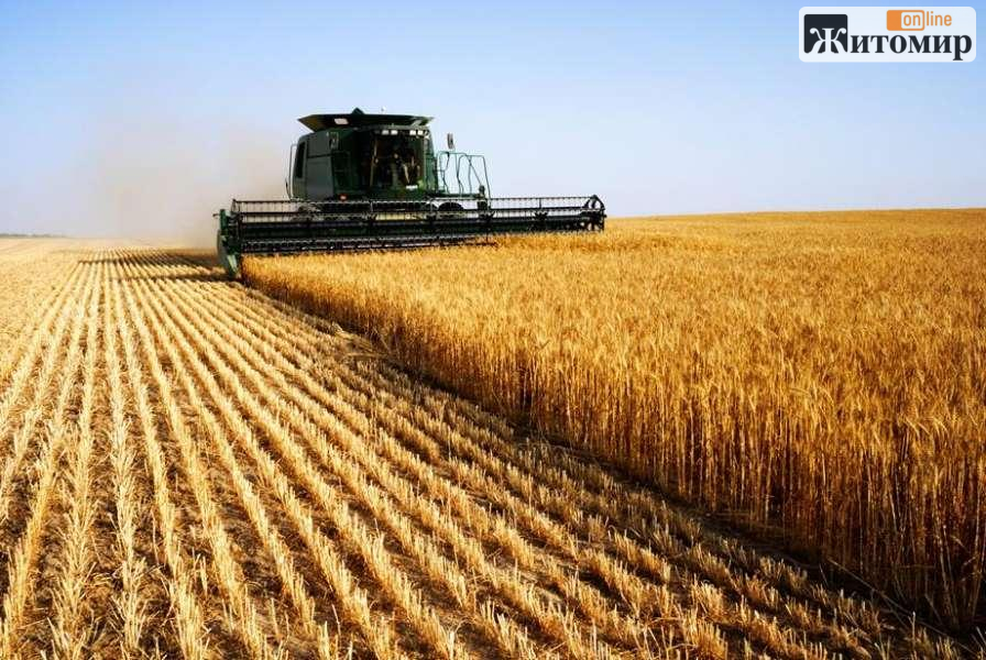 У Житомирській області завершено збір ранніх зернових та зернобобових культур