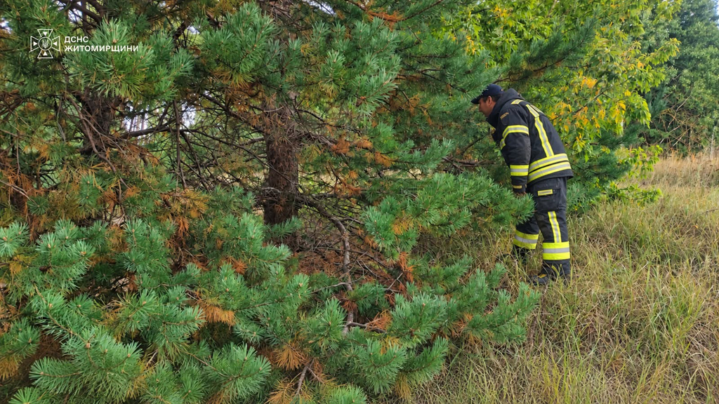 Рятувальники розповіли про пошуки зниклої жінки на Житомирщині - Події. Джерело: Zhitomir-OnLine Рятувальники розповіли про пошуки зниклої жінки на Житомирщині - фото №1