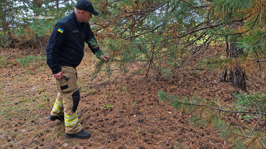 Рятувальники розповіли про пошуки зниклої жінки на Житомирщині - Події. Джерело: Zhitomir-OnLine Рятувальники розповіли про пошуки зниклої жінки на Житомирщині - фото №2