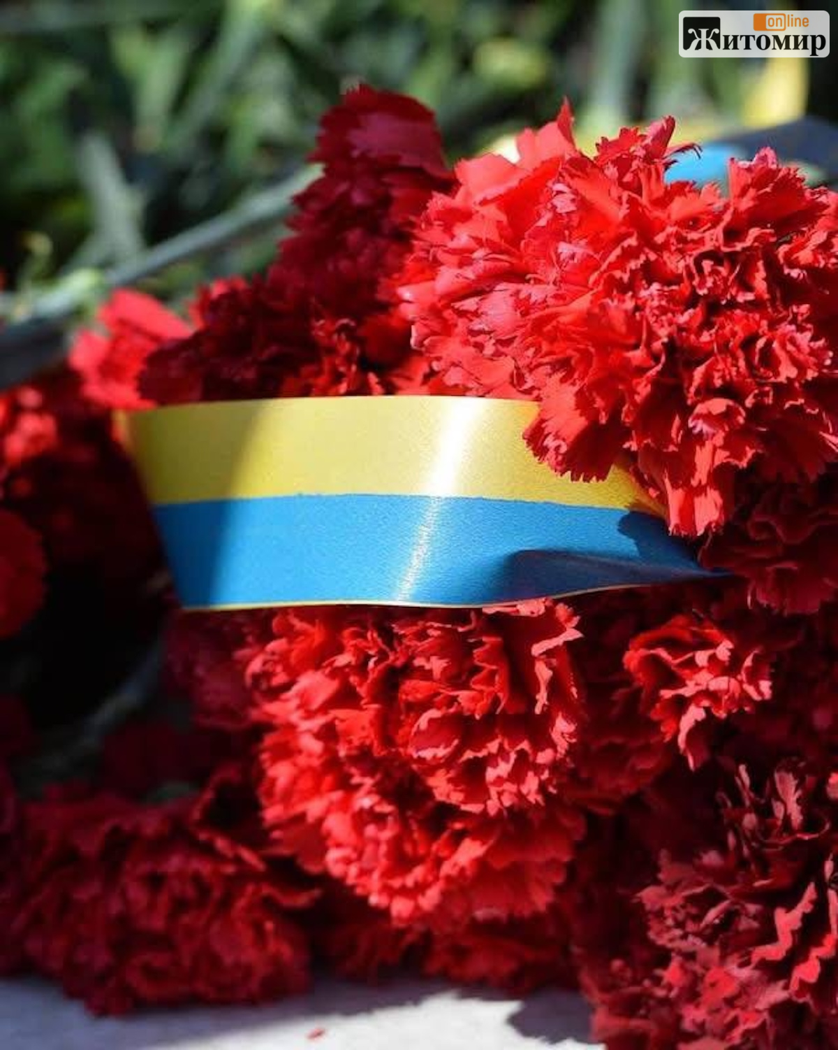 Мріяв про власну майстерню, воював у підрозділі БПЛА: Житомир прощається з Дмитром Матвійчуком