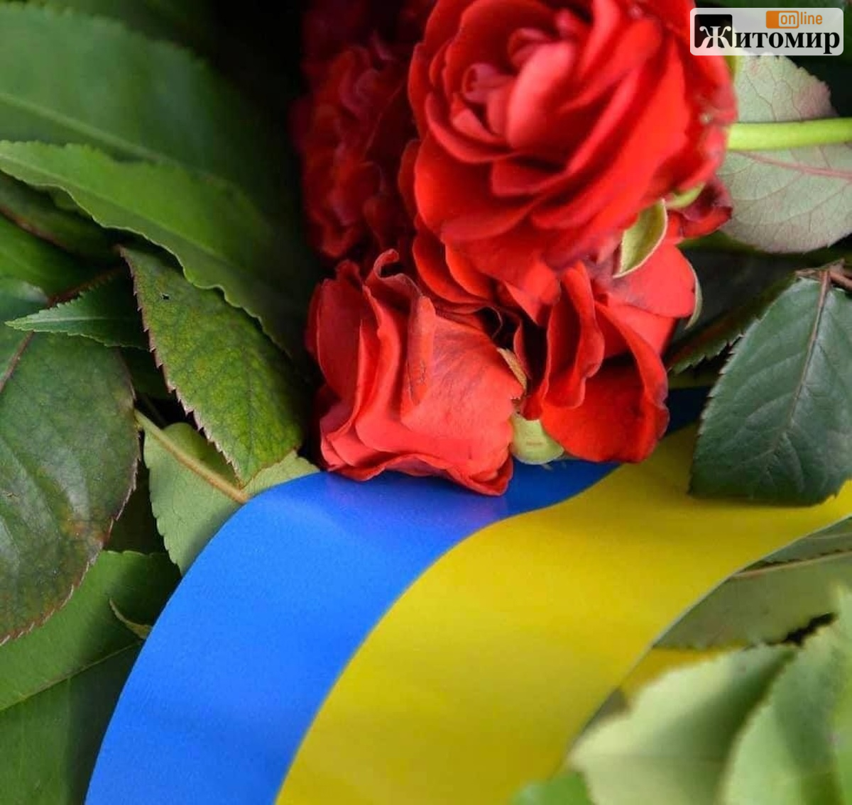 На щиті до Житомира повернувся 49-річний Захисник Андрій Малянов