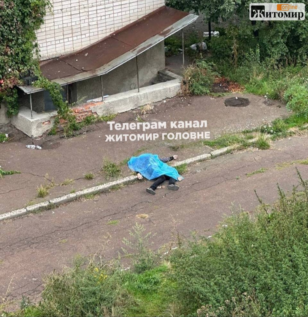 Поліція встановила особу чоловіка, якого знайшли мертвим у Житомирі: йому було 33 роки